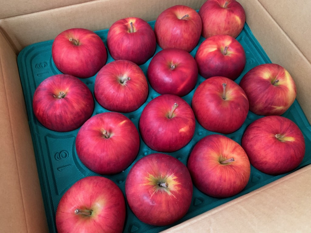 北海道余市のふるさと納税返礼品「りんご」